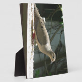 モーニングハト フォトプラーク (側面)