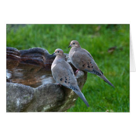 モーニングハト – フレームアートカード