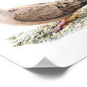 モーニングハト ポスター (角)