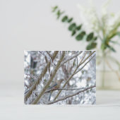 モーニングハト ポストカード (スタンド正面)