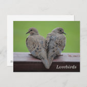 モーニングハト ポストカード (正面/裏面)