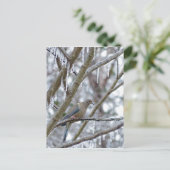 モーニングハト ポストカード (スタンド正面)