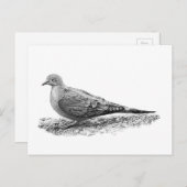 モーニングハト ポストカード (正面/裏面)