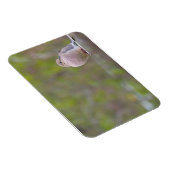 モーニングハト マグネット (右側)