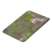 モーニングハト マグネット (左側)