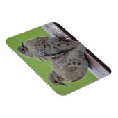 モーニングハト マグネット (右側)