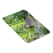 モーニングハト マグネット (右側)