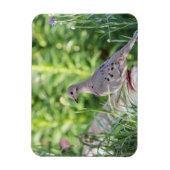 モーニングハト マグネット (縦)