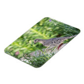 モーニングハト マグネット (左側)