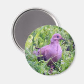 モーニングハト マグネット (正面/裏面)