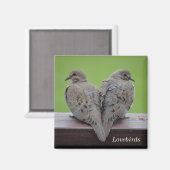 モーニングハト マグネット (正面/裏面)