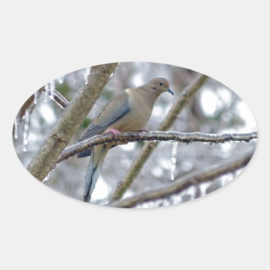 モーニングハト 楕円形シール (正面)