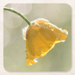 モーニングバターカップスクエアコースター スクエアペーパーコースター