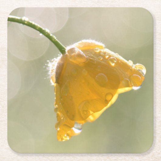 モーニングバターカップスクエアコースター スクエアペーパーコースター (正面)