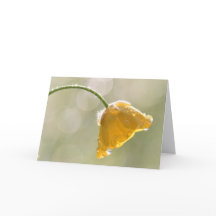 モーニングバターカップハッピーバースデーグリーティングカード