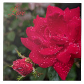 モーニングバラ タイル (正面)