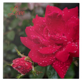 モーニングバラ タイル