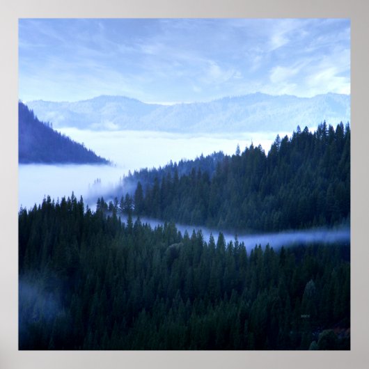 モーニングフォグ….. ポスター (正面)