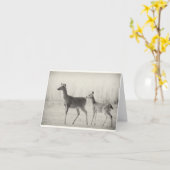 モーニングホワイトテール カード (黄色い花)