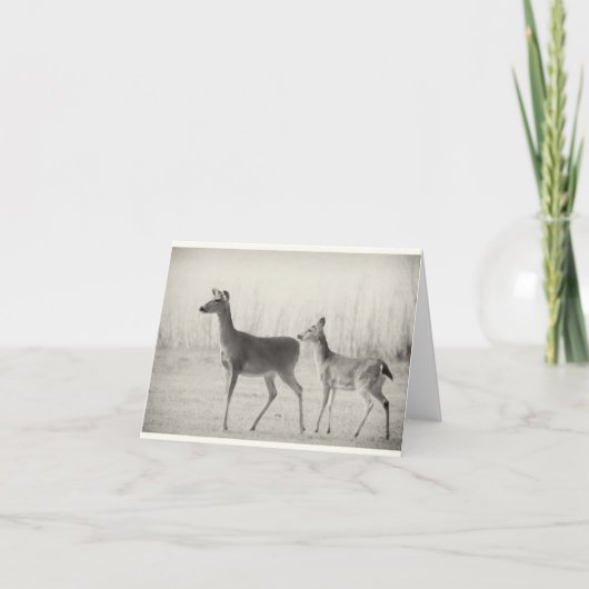 モーニングホワイトテール カード (正面)