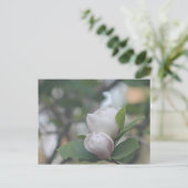 モーニングマグノリア ポストカード (スタンド正面)