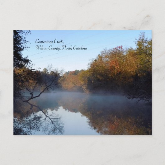 モーニングミスト – Contentnea Creek ポストカード (正面)