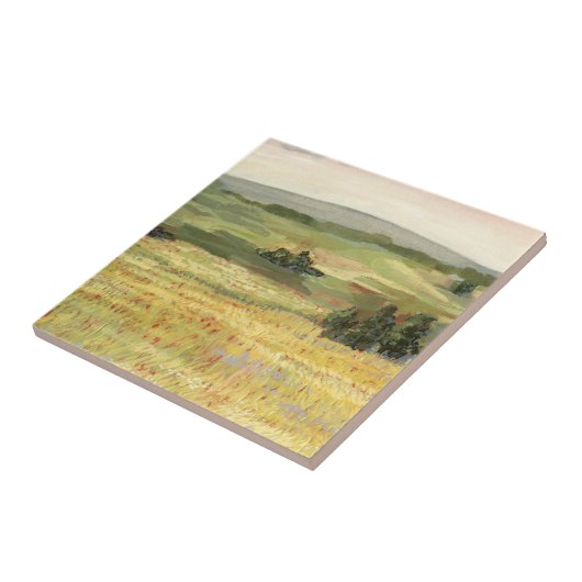 モーニングメドウ タイル (側面)