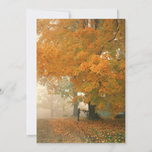 モーニングメール招待状 招待状 (正面)