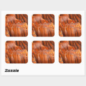 モーニングライトのロックホテル スクエアシール (シート)