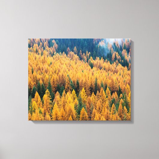 モーニングライトアットビーチ |ティビー島 キャンバスプリント (正面)