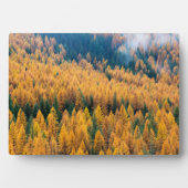 モーニングライトアットビーチ |ティビー島 フォトプラーク (正面)