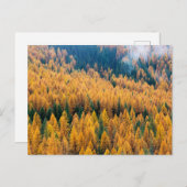 モーニングライトアットビーチ |ティビー島 ポストカード (正面/裏面)