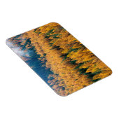 モーニングライトアットビーチ |ティビー島 マグネット (右側)