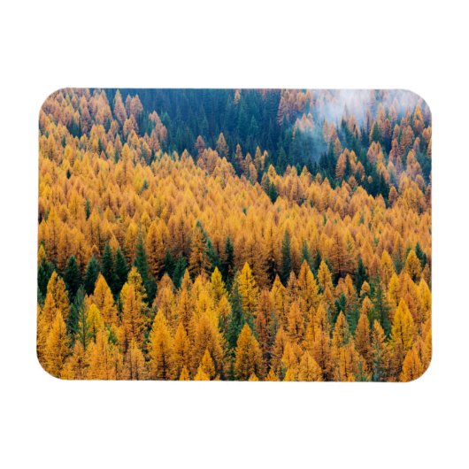 モーニングライトアットビーチ |ティビー島 マグネット (横)