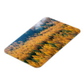 モーニングライトアットビーチ |ティビー島 マグネット (左側)