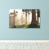 モーニングライト(2020) キャンバスプリント (インサイチュ (ウッドフロア))