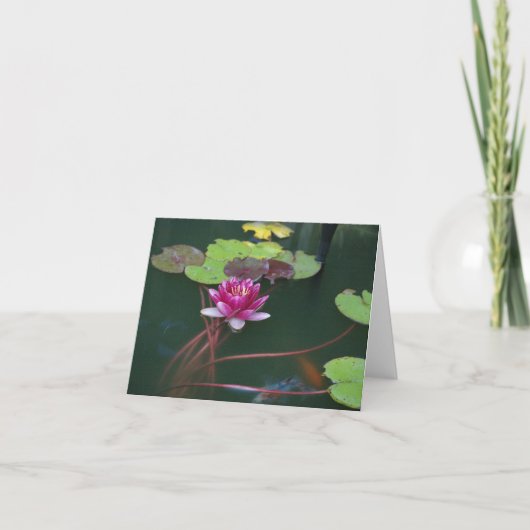 モーニングリリー カード (正面)