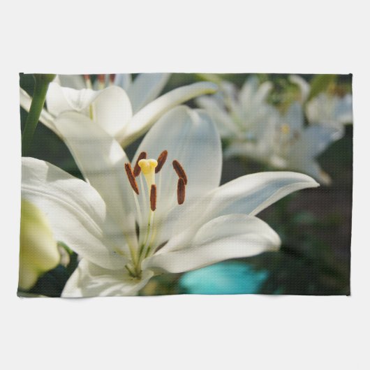 モーニングリリー！ キッチンタオル (横)