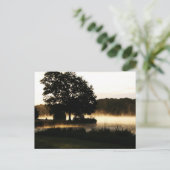 モーニングレイクシーンpca ポストカード (スタンド正面)