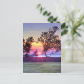 モーニングレイ ポストカード (スタンド正面)