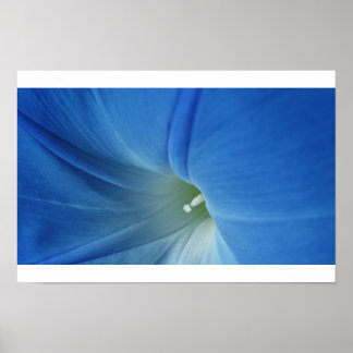 モーニング開花 ポスター