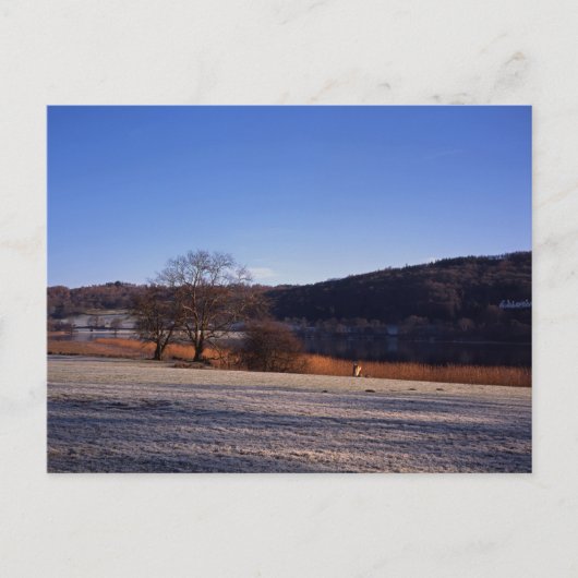 モーニング霜の降りたエストワイトウォータークンブリアイングランド ポストカード (正面)