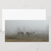 モーニング霜の降りたフォグフォトカード (正面/裏面)