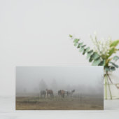 モーニング霜の降りたフォグフォトカード (スタンド正面)