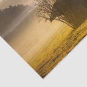 モーニング飾ミストツリーキャビン 薄葉紙 (詳細)