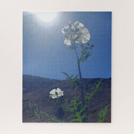 モーニング・カーム: 透ける光の中のクリーム色の花 ジグソーパズル (縦)