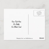 モーニング・グローリズ・フラワー・カスタマイズ可能なはがき ポストカード (裏面)