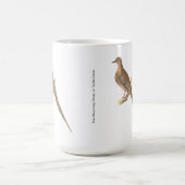 モーニング・ハト(カロライナ・タートルハト) NY コーヒーマグカップ (中央)