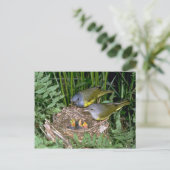 モーニング・ワーブラーズ・ウィズ・ヤング ポストカード (スタンド正面)