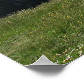 モーハーの崖 ポスター (角)